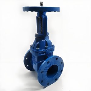 手動(dòng)閘閥Z41T-16 DN50/DN65廠家直銷(xiāo)，上海發(fā)